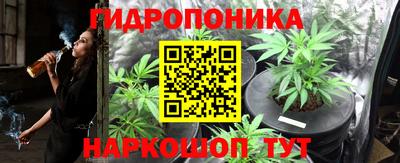 амф Сланцы