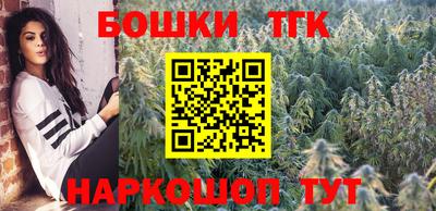 амф Сланцы