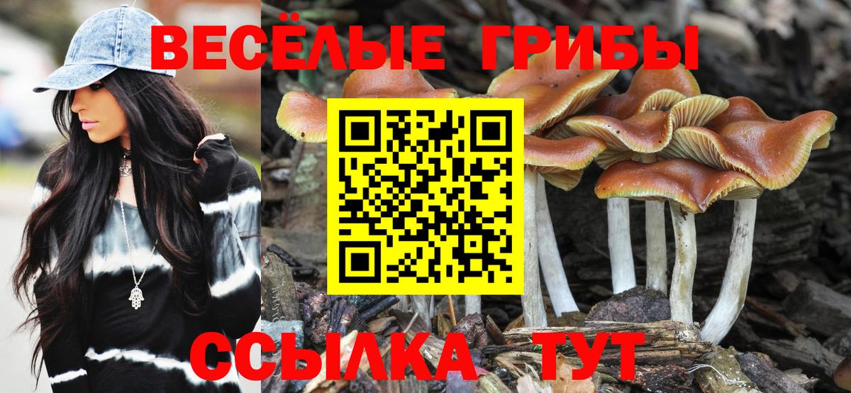 Псилоцибиновые грибы прущие грибы  Вход с VPN  Галлюциногенные грибы ЛСД  Ногинск 